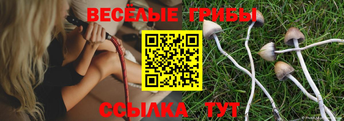 Псилоцибиновые грибы GOLDEN TEACHER Москва