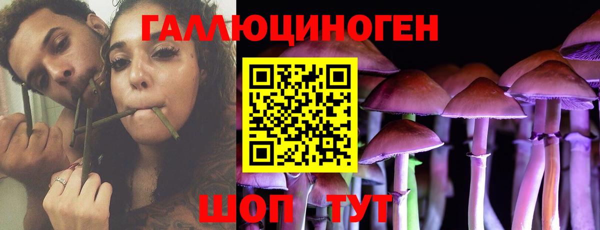 Псилоцибиновые грибы MAGIC MUSHROOMS  Вход с VPN  Москва 